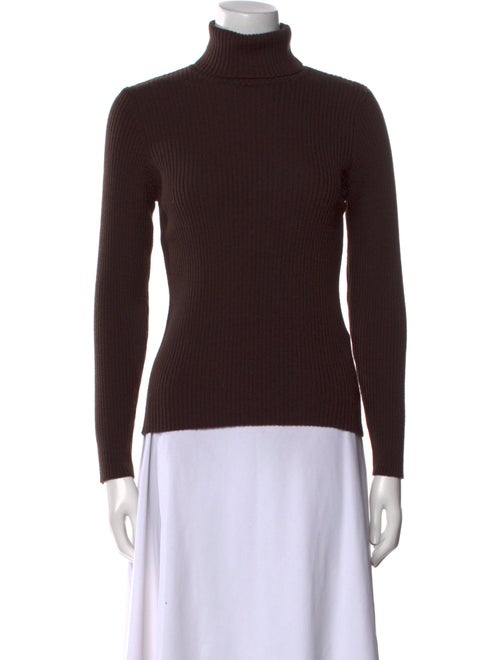 Geiger Wool Turtleneck Sweater