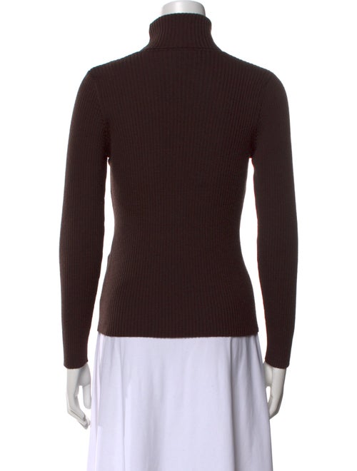 Geiger Wool Turtleneck Sweater