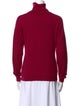 Geiger Wool Turtleneck Sweater