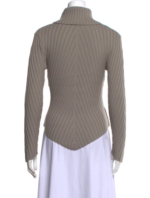 Geiger Wool Turtleneck Sweater