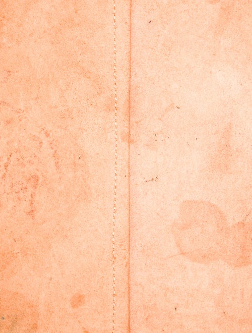 Mansur Gavriel Canvas Bucket Bag