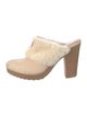 Hunter Suede Fur Trim Mules