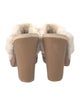 Hunter Suede Fur Trim Mules