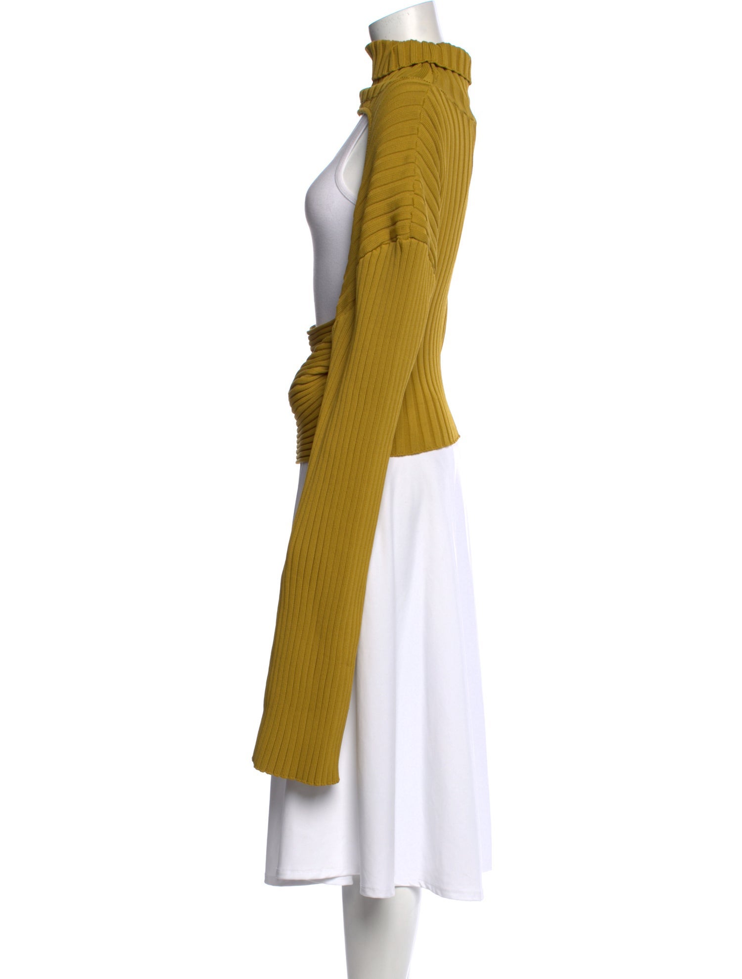 Hanifa Turtleneck Long Sleeve Sweatshirt