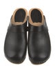 Swedish Hasbeens Leather Mules