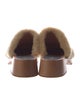 Swedish Hasbeens Shearling Mules