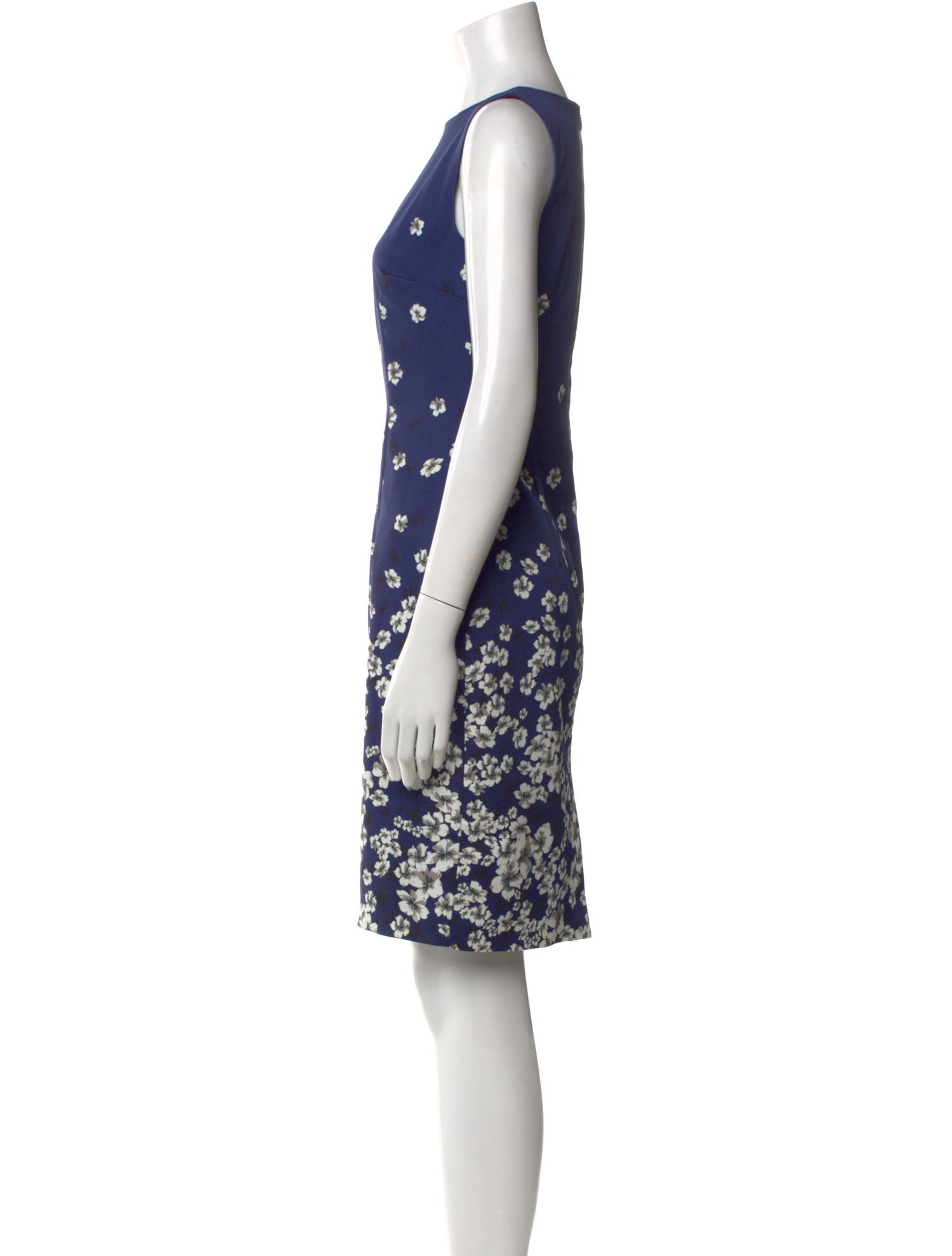 Hobbs London Floral Print Knee-Length Dress