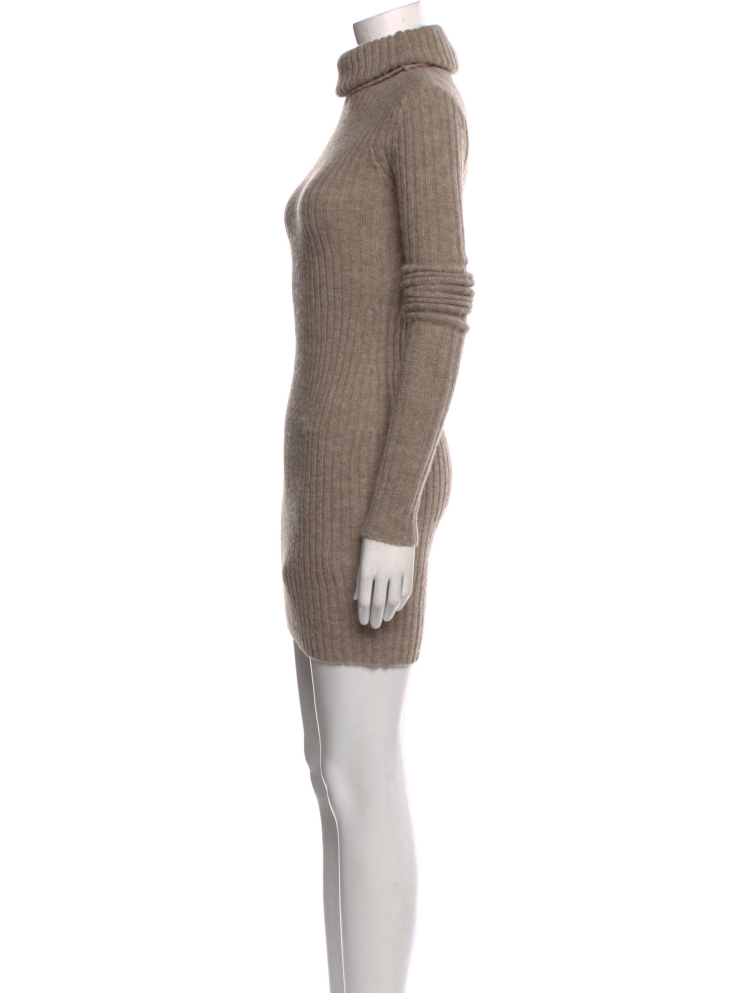 Helsa Turtleneck Mini Dress