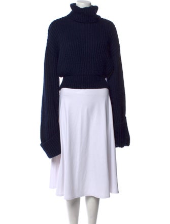 Helsa Turtleneck Sweater