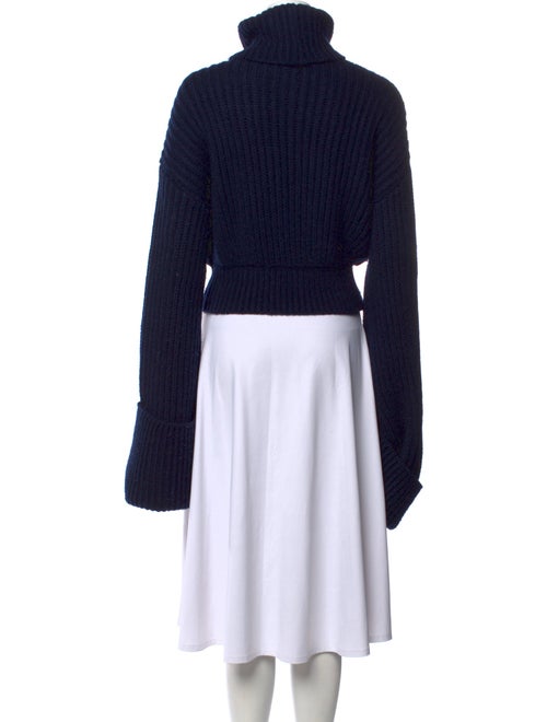 Helsa Turtleneck Sweater