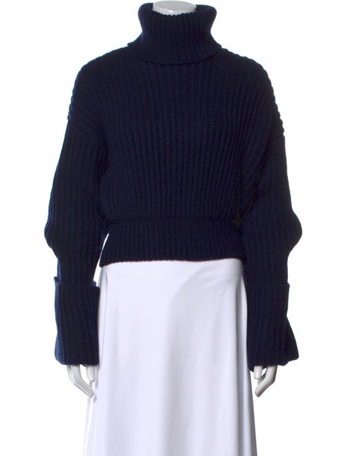 Helsa Turtleneck Sweater