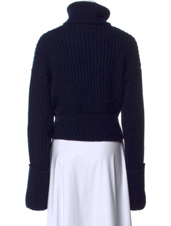 Helsa Turtleneck Sweater
