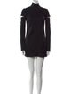 Helmut Lang Turtleneck Mini Dress