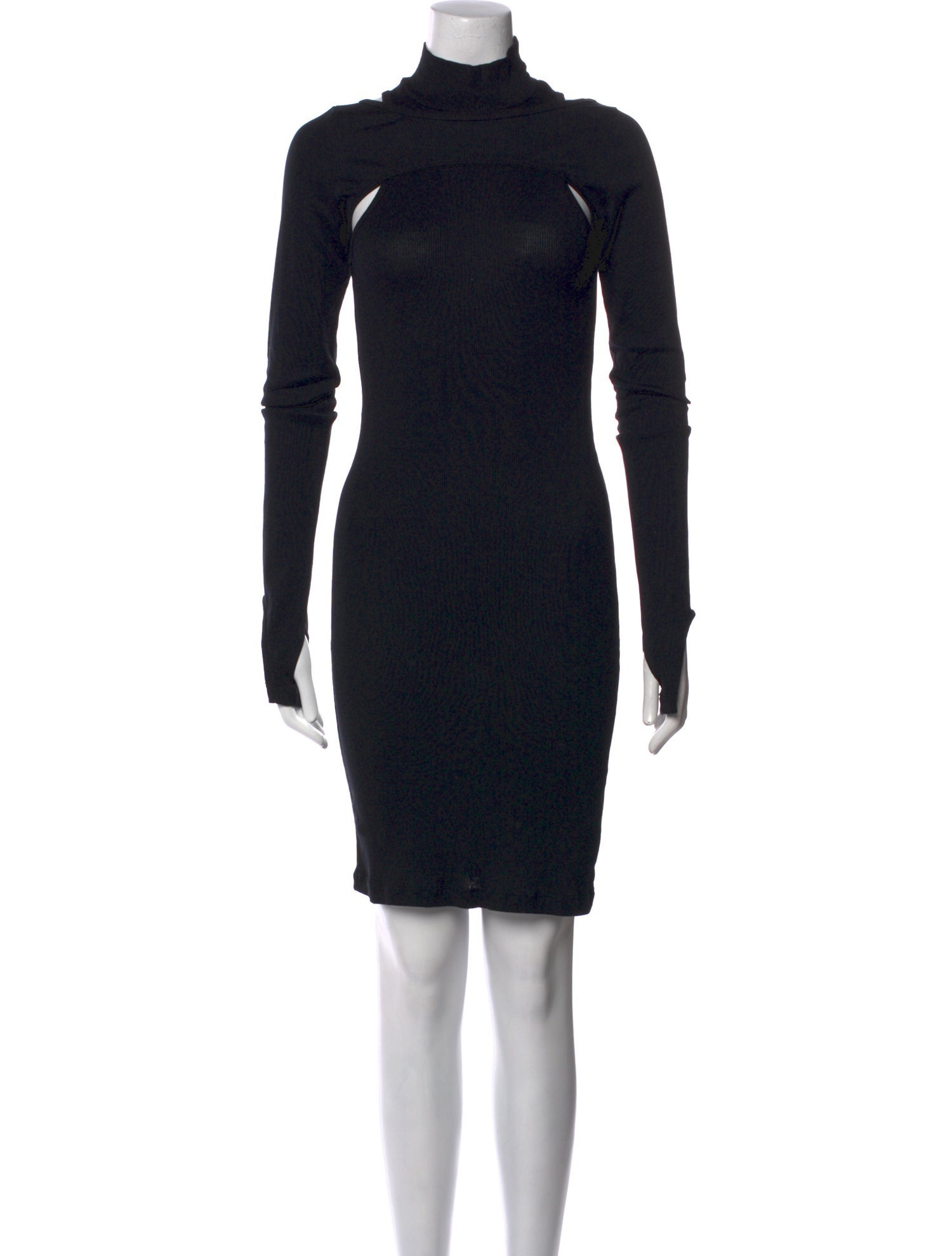 Helmut Lang Turtleneck Mini Dress