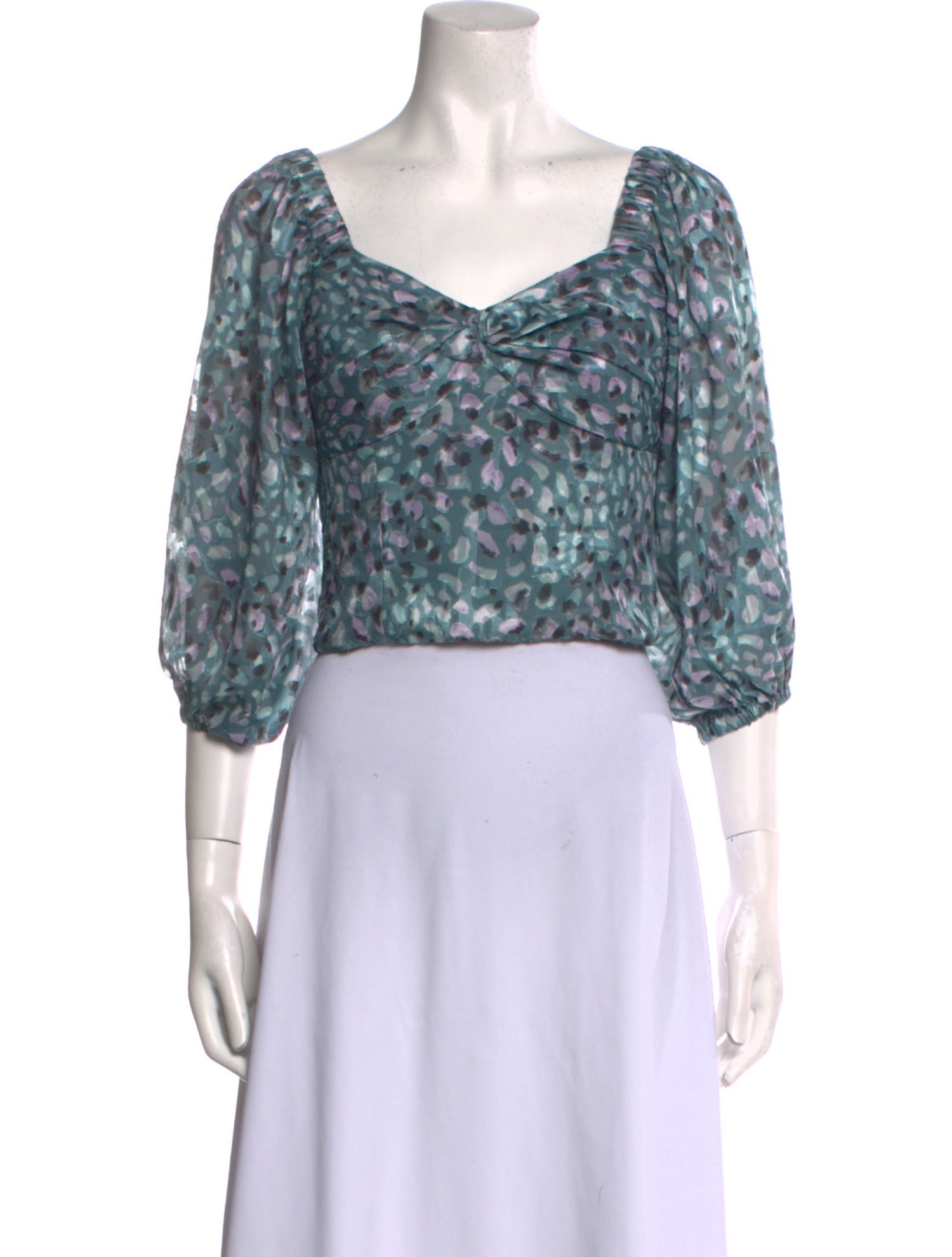 Hutch Animal Print V-Neck Crop Top