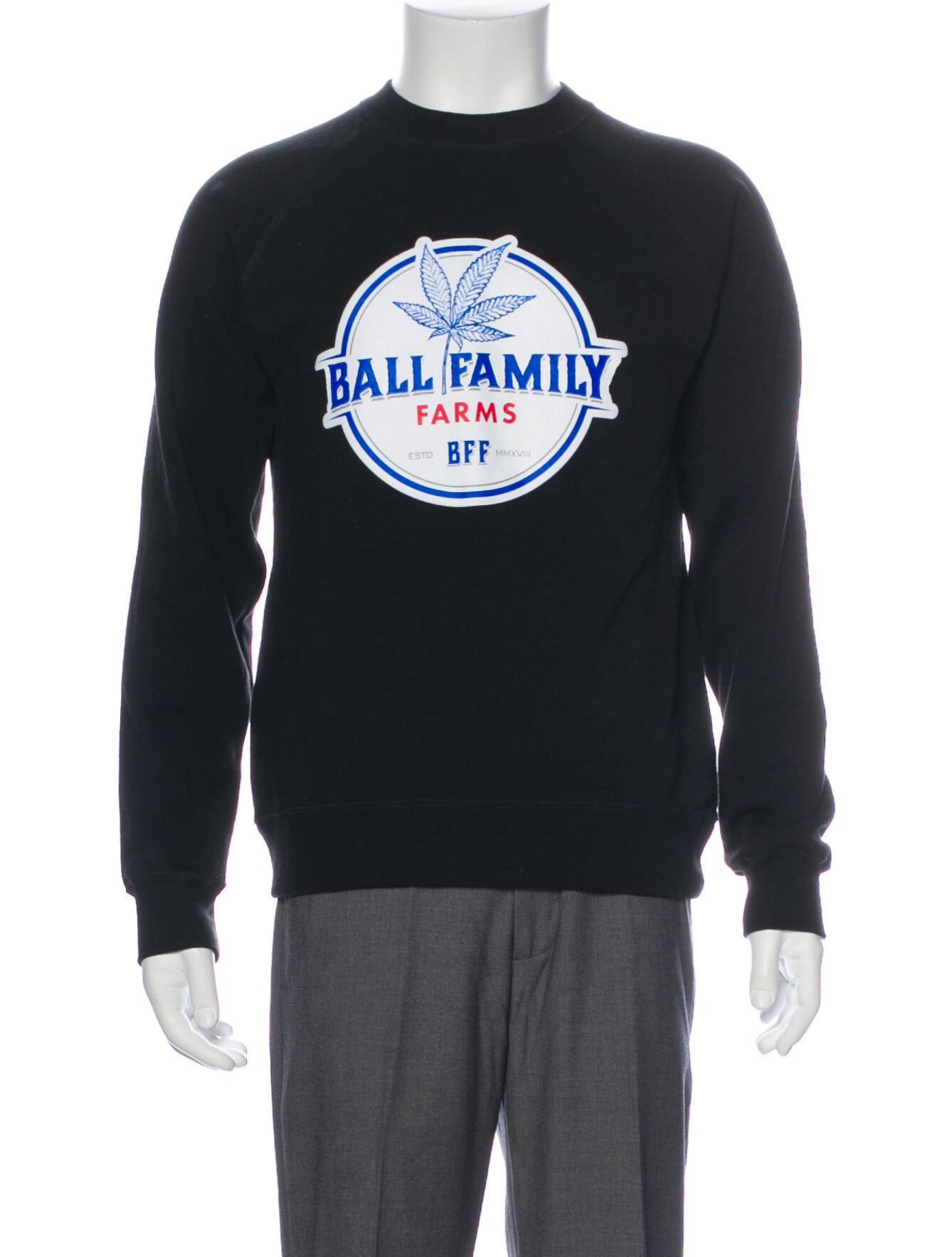 Independent Trading Co. Graphic Print Crew Neck Sweatshirt