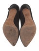Iro Suede Pumps
