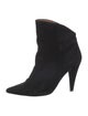 Iro Suede Western Boots