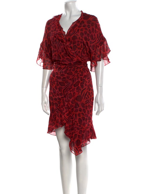 Iro Animal Print Knee-Length Dress