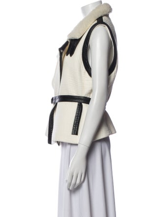 Iro Striped Fur Jacket