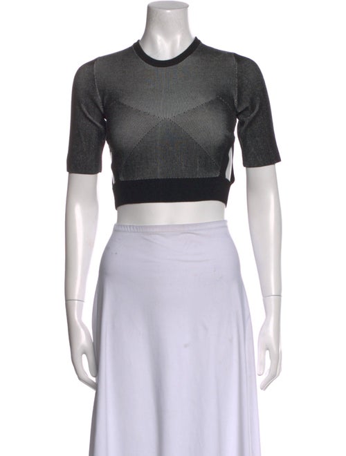 Iro Crew Neck Short Sleeve Crop Top