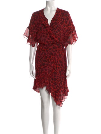 Iro Animal Print Knee-Length Dress