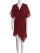 Iro Animal Print Knee-Length Dress