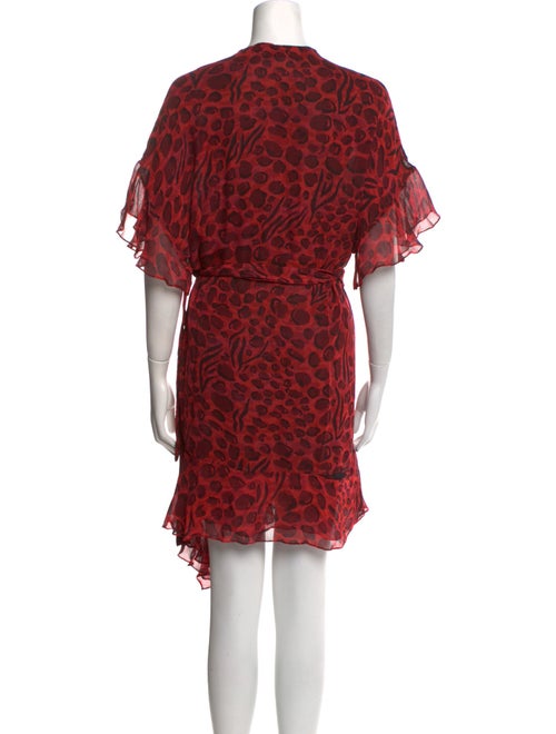 Iro Animal Print Knee-Length Dress