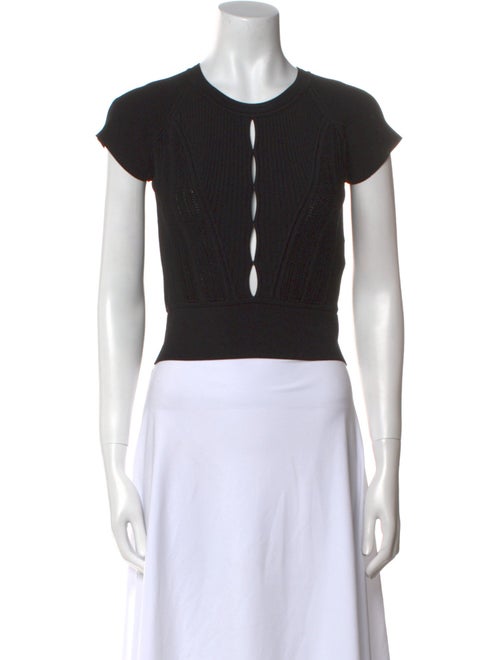 Iro Crew Neck Short Sleeve Crop Top