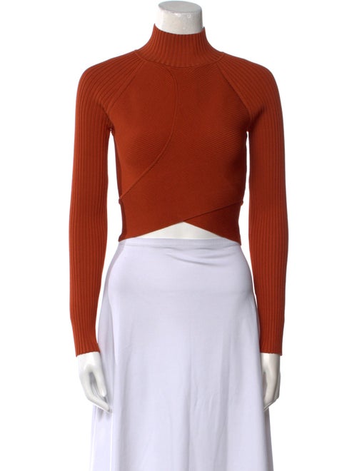 Jonathan Simkhai Turtleneck Long Sleeve Crop Top