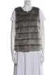 Joie Faux Fur Vest