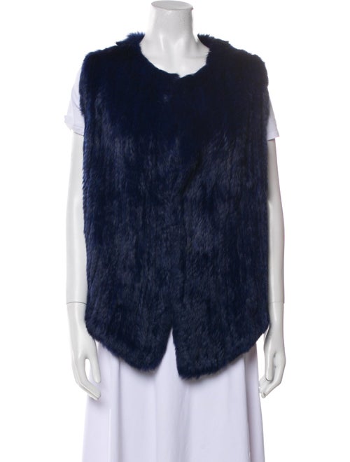 Joie Fur Fur Jacket