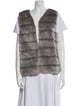 Joie Faux Fur Vest