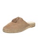 Joie Suede Espadrilles