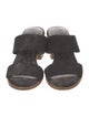 Joie Suede Slides