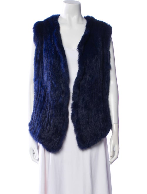 Joie Fur Fur Jacket
