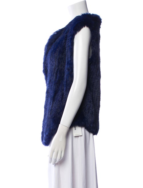 Joie Fur Fur Jacket