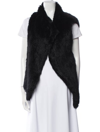 Joie Fur Fur Jacket