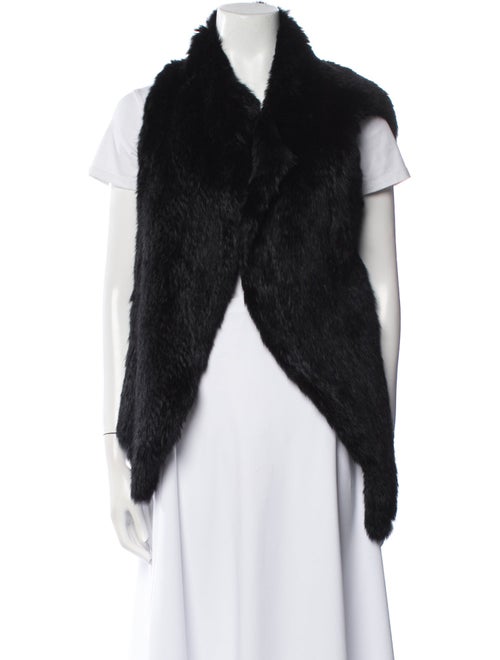 Joie Fur Fur Jacket