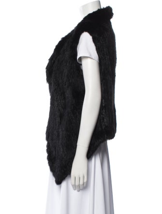 Joie Fur Fur Jacket