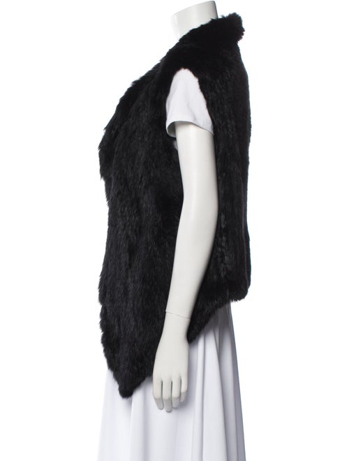 Joie Fur Fur Jacket