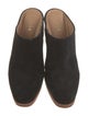 Joie Suede Boots