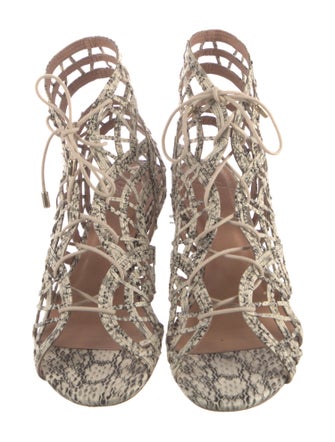 Joie Leather Animal Print Gladiator Sandals