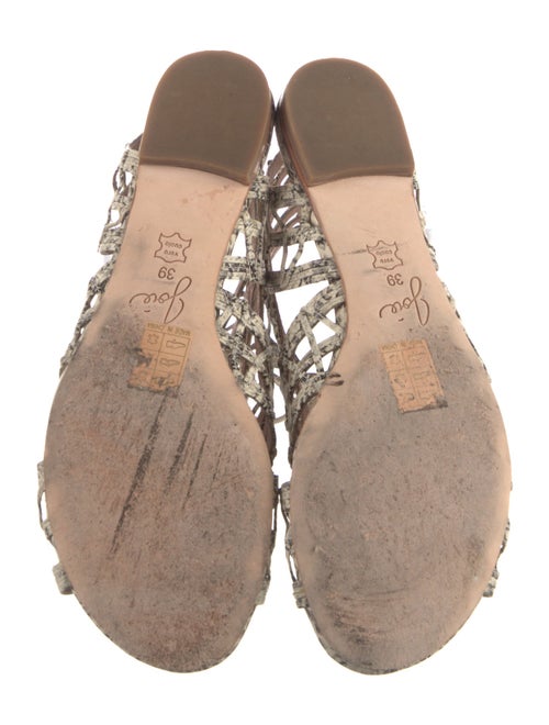 Joie Leather Animal Print Gladiator Sandals