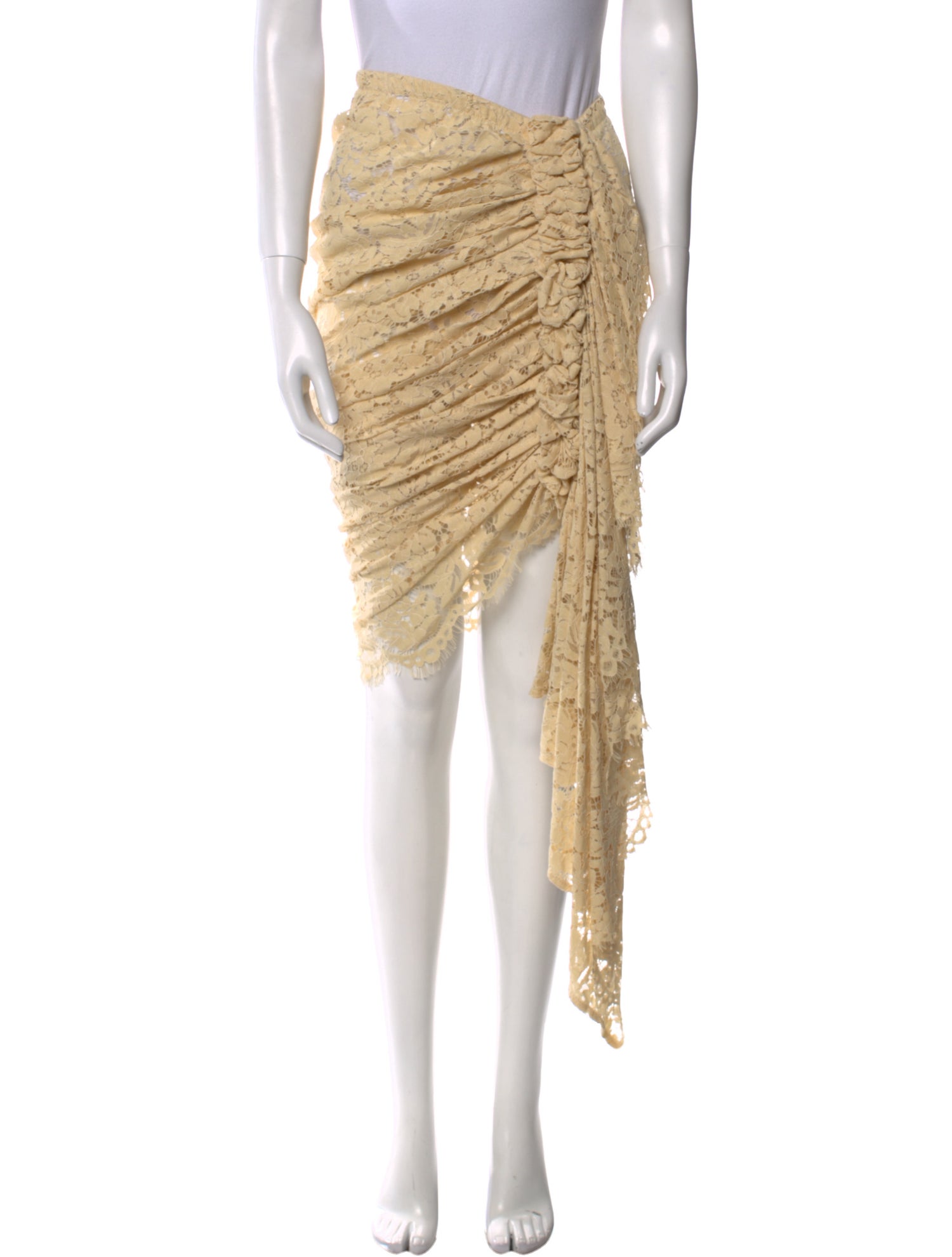 Just Bee Queen Nylon Long Skirt