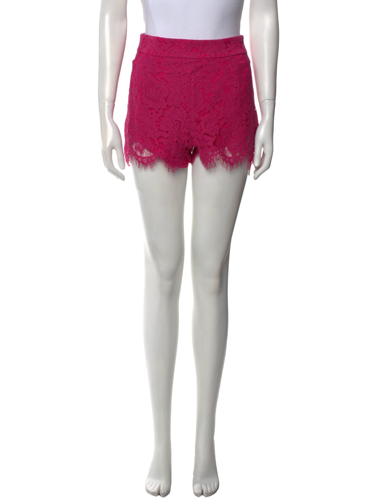 Just Bee Queen Nylon Mini Shorts w/ Tags