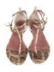 Jean-Michel Cazabat Snakeskin Animal Print T-Strap Sandals
