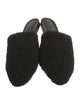 Jenni Kayne Shearling Mules