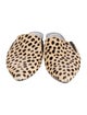 Jenni Kayne Ponyhair Animal Print Mules