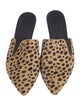 Jenni Kayne Ponyhair Animal Print Mules